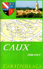 cartovillage